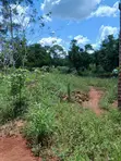 0.56 Acre Titled Land with Unfinished 4-Bedroom House in Zirobwe - 3