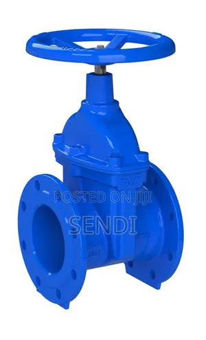 Gate Valve 4" - Brand New