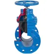Gate Valve 4" - Brand New - 4