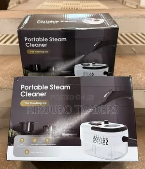 2500W Portable Steam Cleaner