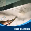 2500W Portable Steam Cleaner - 4