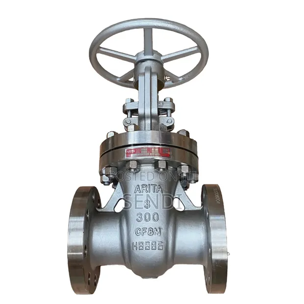 3" Class 300 Cast Steel Flanged Gate Valve - 1