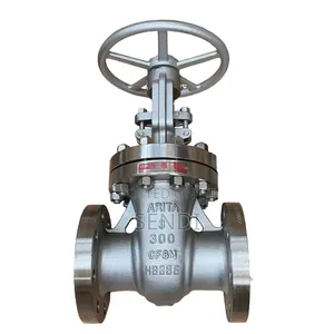 3" Class 300 Cast Steel Flanged Gate Valve