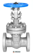 3" Class 300 Cast Steel Flanged Gate Valve - 2