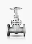3" Class 300 Cast Steel Flanged Gate Valve - 3