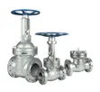 3" Class 300 Cast Steel Flanged Gate Valve - 4