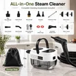 High-Pressure Portable Steam Cleaner - 2