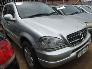 Mercedes-Benz M Class 2003 Silver