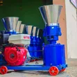 Animal and Poultry Feed Pellet Machine - 2