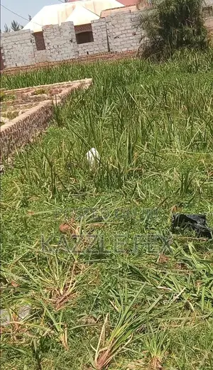 Plot for Sale in Nansana Nganda