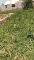 Plot for Sale in Nansana Nganda - 1