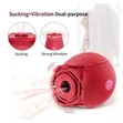 Rose Vibrator with 10 Modes & Sucking Function - 4