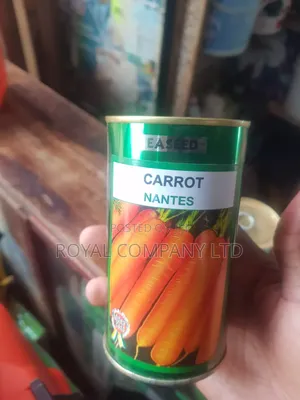 Easeed Carrot Nantes Seeds - 50g