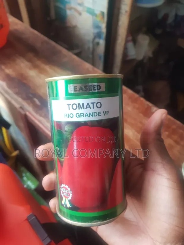 Easeed Tomato Seeds Rio Grande VF 50g - 1