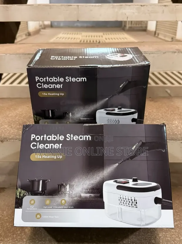 Luxurious 2500W Portable Steam Cleaner - 1