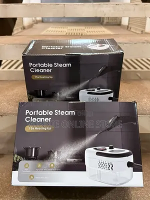 Luxurious 2500W Portable Steam Cleaner