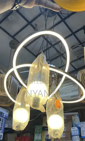 Chandelier Ceiling Light - Day & Warm Light