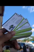 Professional Business Cards - Print Pro Solutions - 2