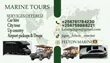 Professional Business Cards - Print Pro Solutions - 3