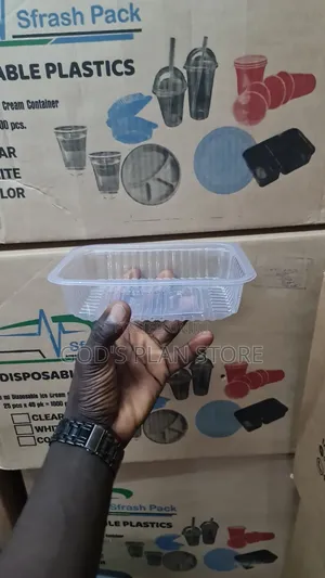 500ml Package Containers - 250pcs