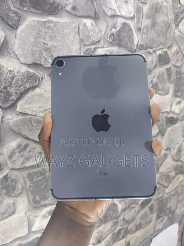 Apple iPad mini (2021) 256GB Gray - 1