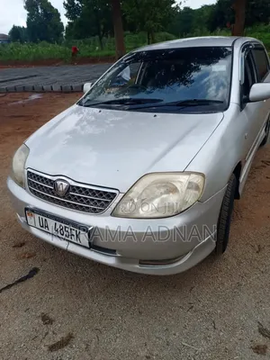Toyota Allex 2007 Silver