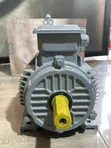 Brand New 3HP Three-Phase Induction Motor - 1