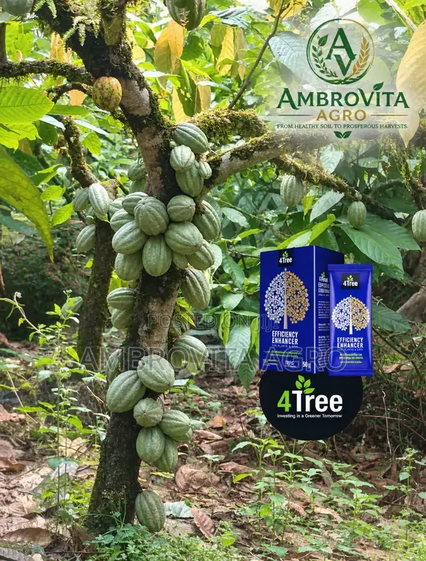 4 Tree Organic Fertilizer Efficiency Enhancer - 1