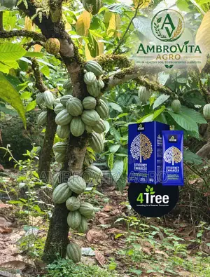 4 Tree Organic Fertilizer Efficiency Enhancer