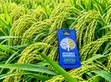 4 Tree Organic Fertilizer Efficiency Enhancer - 4
