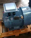 50HP High Speed Induction Motor - 3