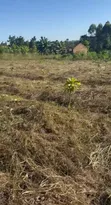 Land for Sale in Kakiri - 1