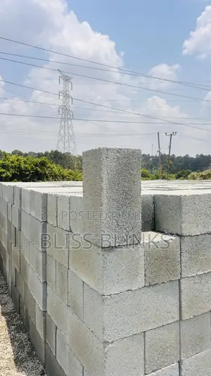 8-inch Solid Blocks