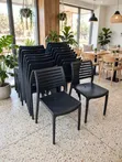 Brand New Light Zebra Back Plastic Chairs - 1