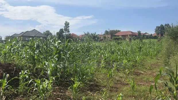 Land Plot for Sale - Wakiso, Near Exodus College - 1