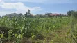 Land Plot for Sale - Wakiso, Near Exodus College - 1