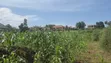 Land Plot for Sale - Wakiso, Near Exodus College - 2