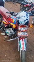 Bajaj Boxer 125 2024 Red - 1