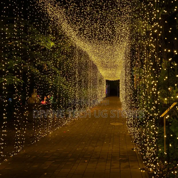 Genuine 100m Christmas Decoration Lights - 1000 LED - 1