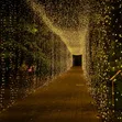 Genuine 100m Christmas Decoration Lights - 1000 LED - 1