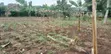 Commercial Land for Sale in Kawanda - 1