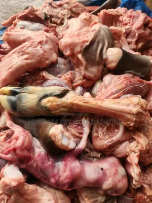Dog Food - Beef & Calf Meat