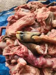 Dog Food - Beef & Calf Meat - 5