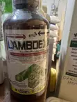 Lambdex 5 EC Agricultural Insecticide - 2