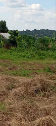 Titled Plot for Sale in Wabinja, Wakiso - 50x100ft - 3