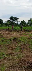Titled Plot for Sale in Wabinja, Wakiso - 50x100ft - 4