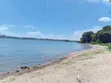 19.4 Acres Investment Land in Garuga, Lake Victoria Frontage - 4