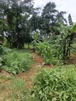 100x100ft Plot for Sale in Kyanja Kungu - 3