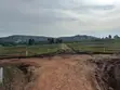 Land for Sale in Kampiringisa, Masaka Road - 2