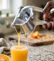 Manual Fruit Press Juicer - 1